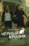 Чёрный кролик