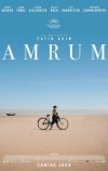 Амрум