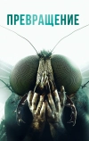 Превращение