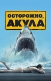 Осторожно, акулы