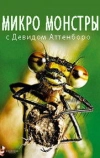 Микро Монстры с Дэвидом Аттенборо