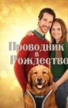 Проводник в Рождество