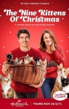 Девять рождественских котят