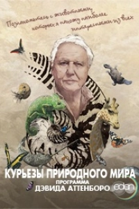 Дэвид Аттенборо. Курьезы природного мира