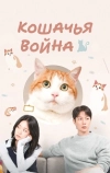 Кошачья война