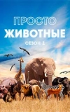 Просто животные
