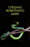 Спецназ животного мира