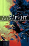 Лабиринт сверхчувственных ощущений