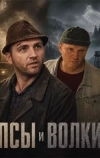 Псы и волки