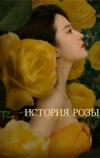 История розы