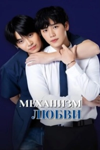 Механизм любви
