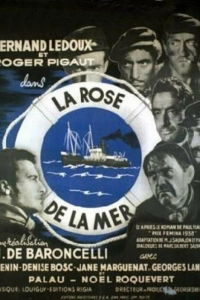 Морская роза