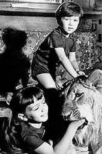 У меня есть лев