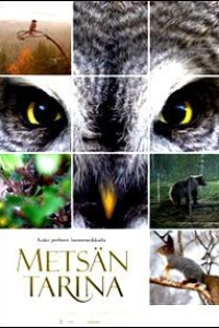 Чудесный лес