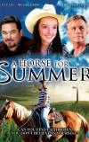 Лошадь на лето