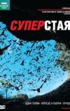 BBC: Суперстая