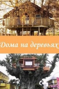 Дома на деревьях